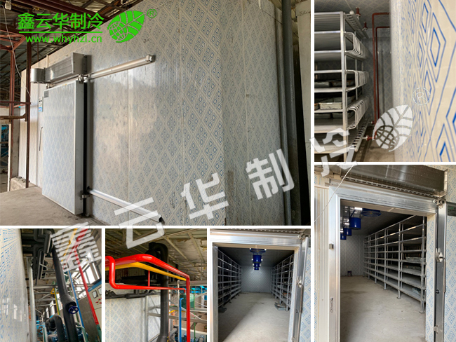 湖北仙桃農業速凍庫項目展示