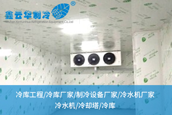 冷庫工程：如何重塑傳統倉儲格局？